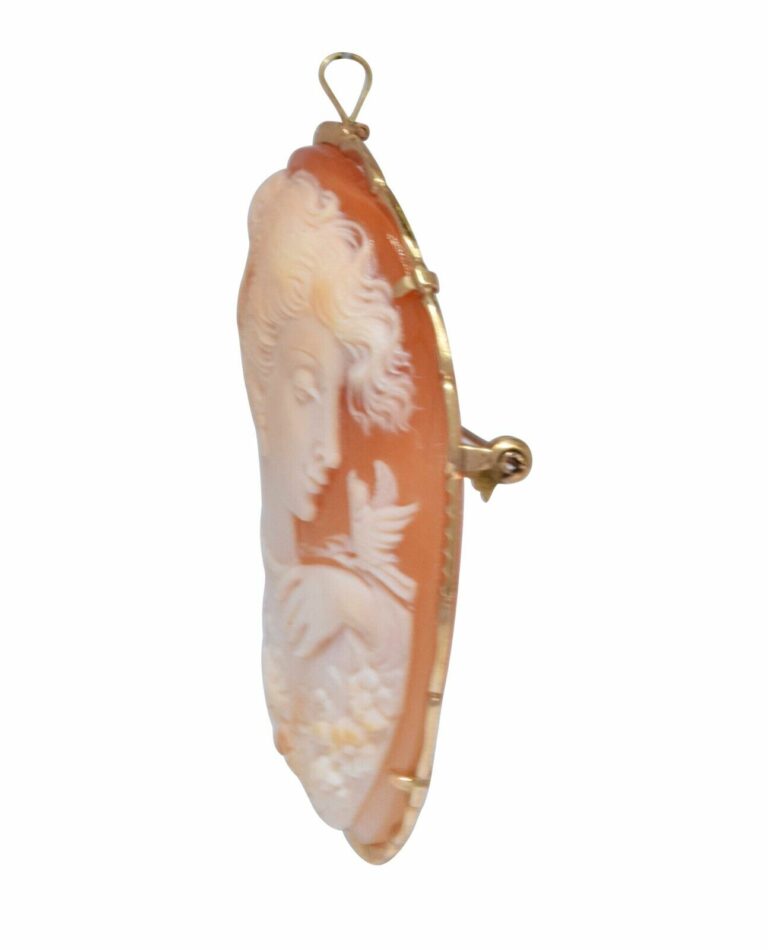 Del Gatto Shell Cameo Pendant/Pin with 14k Yellow Gold Border