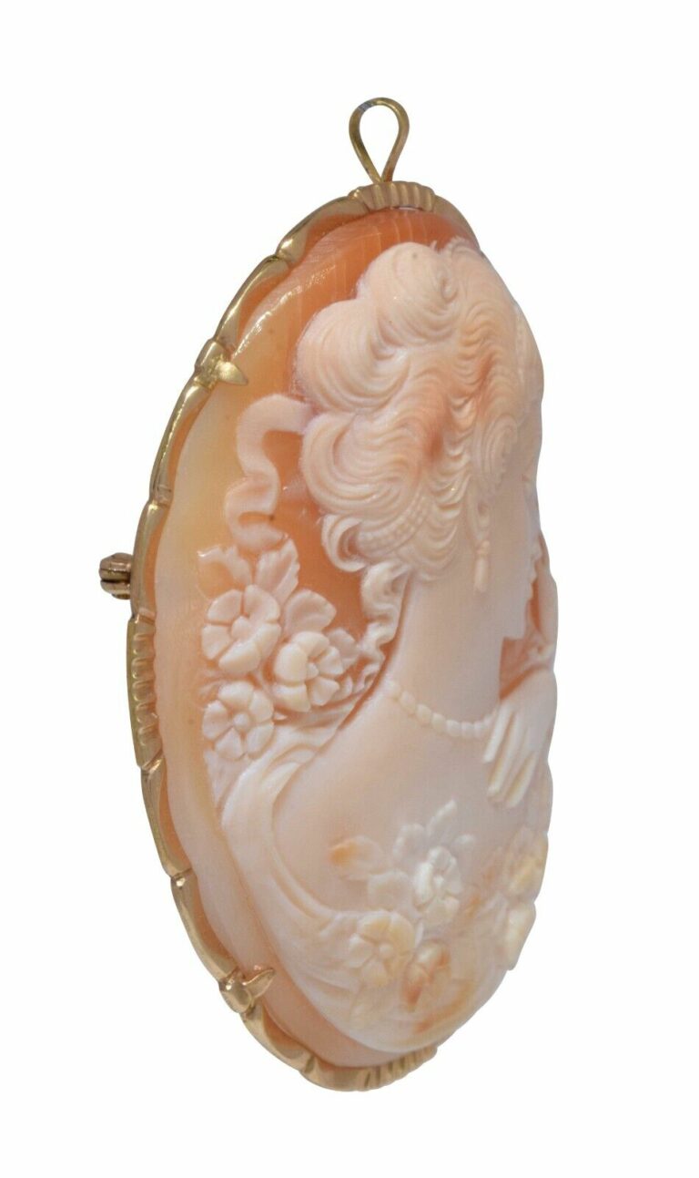 Del Gatto Shell Cameo Pendant/Pin with 14k Yellow Gold Border